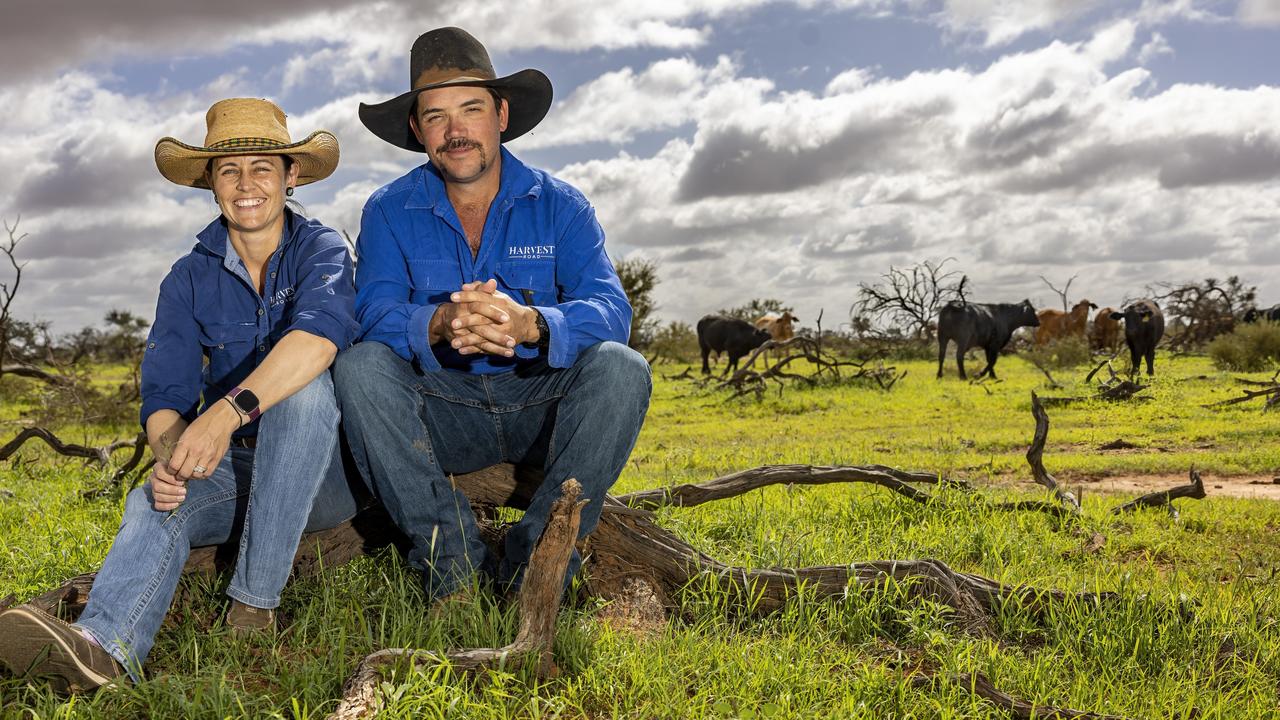 Inside the beef business owned by billionaires Andrew and Nicola Forr