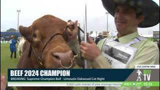 BREAKING: Supreme Champion Bull has been crowned - Limousin Oakwood Cut Right