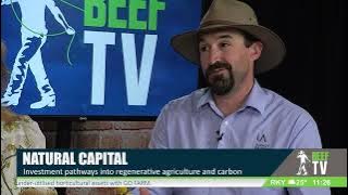 Investment pathways into regenerative agriculture and carbon