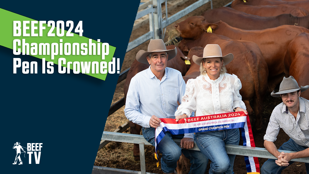 Beef2024 Championship Pen Is Crowned